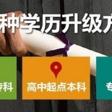 成都市金牌思維教育咨詢有限責(zé)任公司 專業(yè)教育咨詢，點(diǎn)亮成長之路